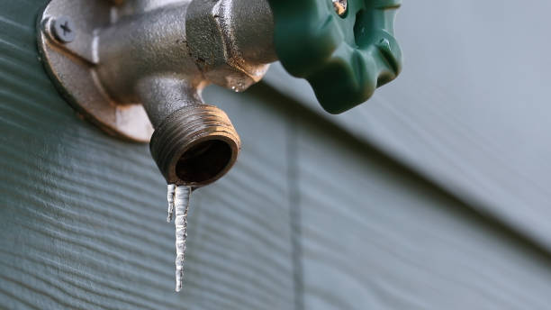 Best Drain Cleaning Services  in Chenango Bridge, NY